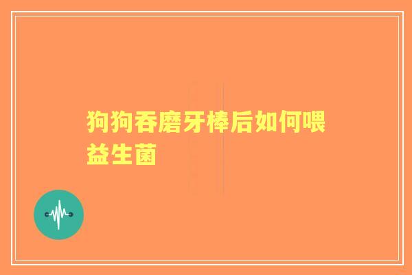 狗狗吞磨牙棒后如何喂益生菌