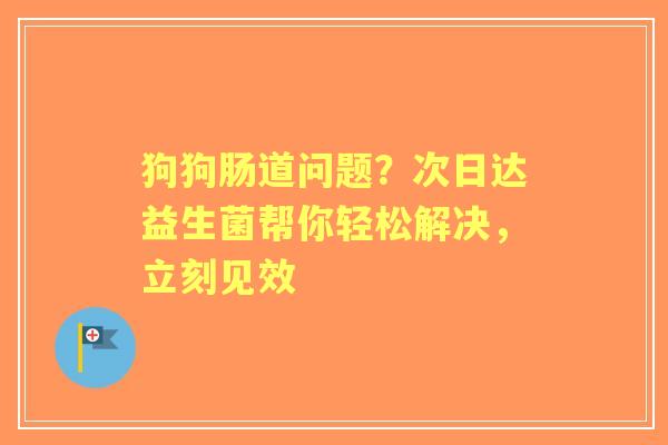 狗狗肠道问题？次日达益生菌帮你轻松解决，立刻见效