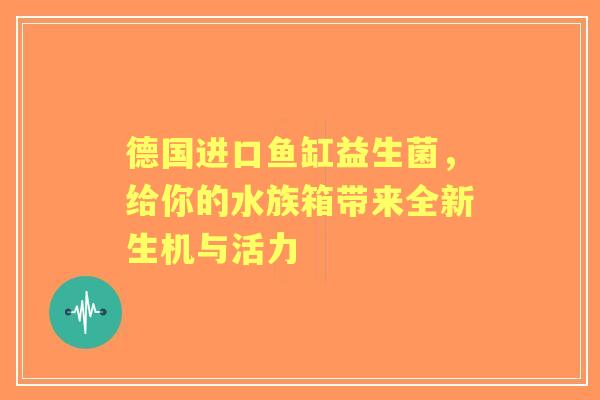 德国进口鱼缸益生菌，给你的水族箱带来全新生机与活力