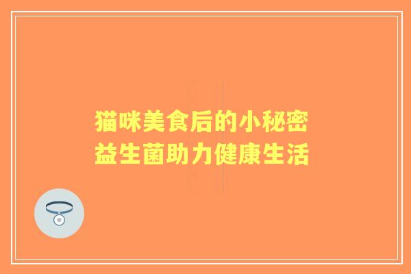 猫咪美食后的小秘密 益生菌助力健康生活