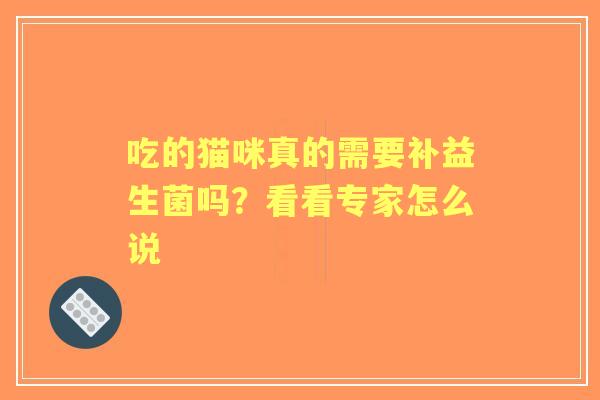 吃的猫咪真的需要补益生菌吗？看看专家怎么说