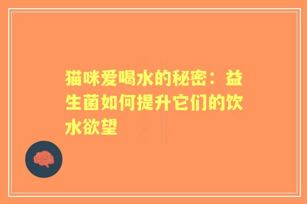 猫咪爱喝水的秘密：益生菌如何提升它们的饮水欲望