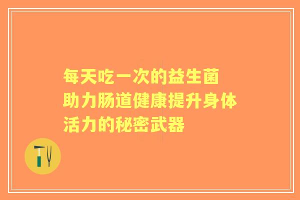 每天吃一次的益生菌 助力肠道健康提升身体活力的秘密武器