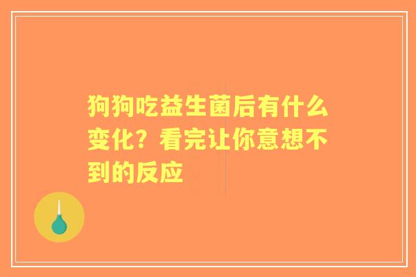 狗狗吃益生菌后有什么变化？看完让你意想不到的反应