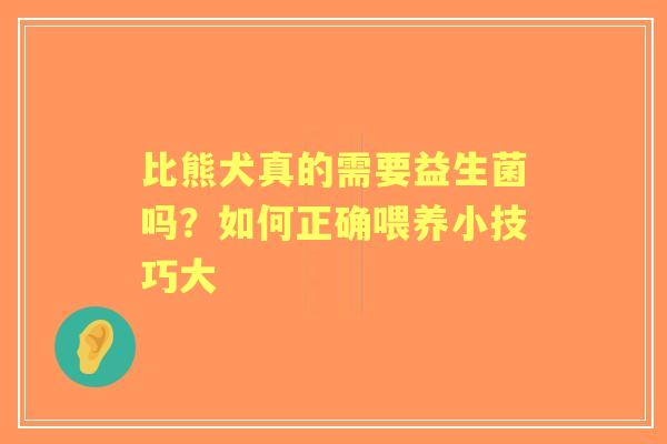 比熊犬真的需要益生菌吗？如何正确喂养小技巧大