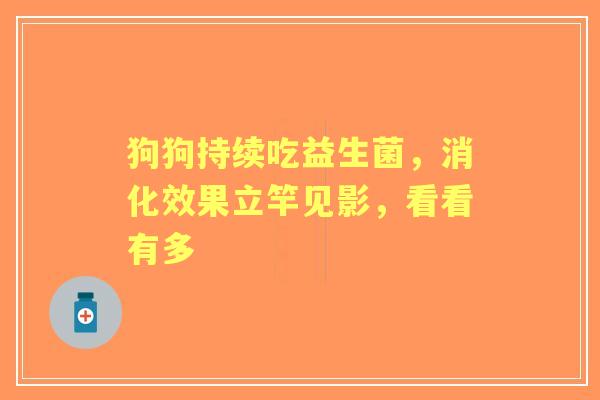 狗狗持续吃益生菌，消化效果立竿见影，看看有多