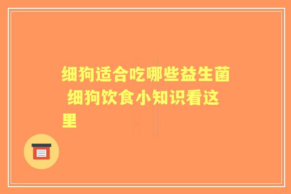 细狗适合吃哪些益生菌 细狗饮食小知识看这里