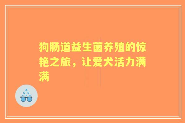 狗肠道益生菌养殖的惊艳之旅，让爱犬活力满满