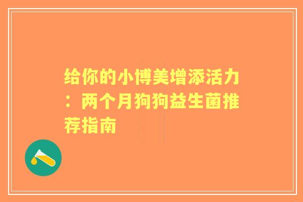 给你的小博美增添活力：两个月狗狗益生菌推荐指南