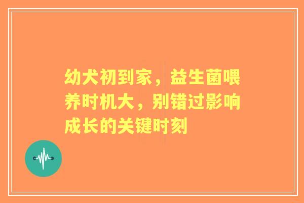 幼犬初到家，益生菌喂养时机大，别错过影响成长的关键时刻