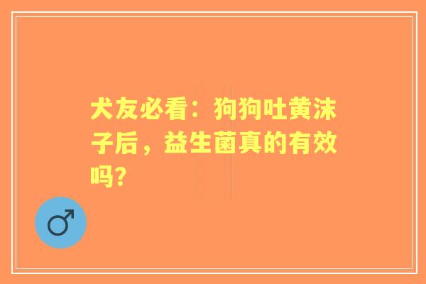 犬友必看：狗狗吐黄沫子后，益生菌真的有效吗？