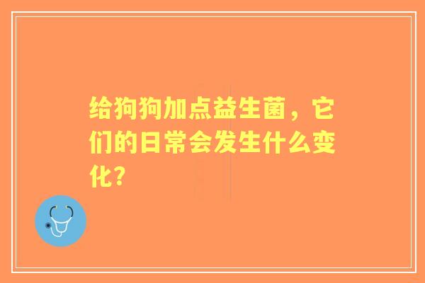给狗狗加点益生菌，它们的日常会发生什么变化？