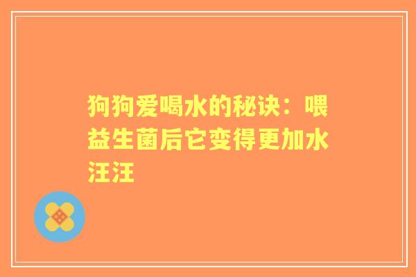 狗狗爱喝水的秘诀：喂益生菌后它变得更加水汪汪