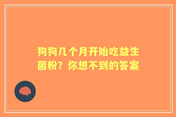 狗狗几个月开始吃益生菌粉？你想不到的答案