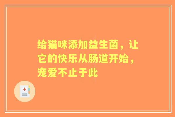 给猫咪添加益生菌，让它的快乐从肠道开始，宠爱不止于此