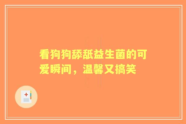 看狗狗舔舐益生菌的可爱瞬间，温馨又搞笑