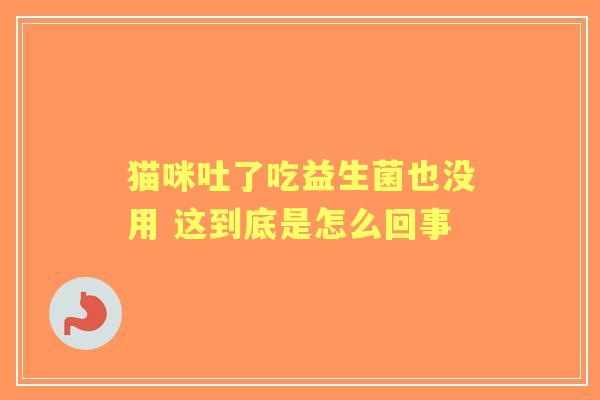 猫咪吐了吃益生菌也没用 这到底是怎么回事