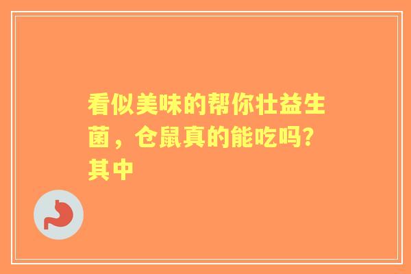 看似美味的帮你壮益生菌，仓鼠真的能吃吗？其中