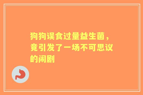 狗狗误食过量益生菌，竟引发了一场不可思议的闹剧