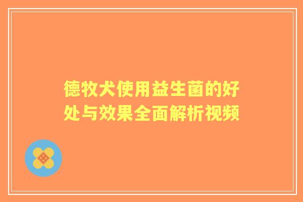 德牧犬使用益生菌的好处与效果全面解析视频