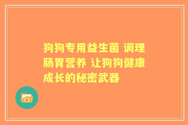 狗狗专用益生菌 调理肠胃营养 让狗狗健康成长的秘密武器