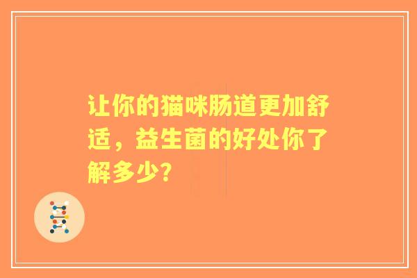 让你的猫咪肠道更加舒适，益生菌的好处你了解多少？