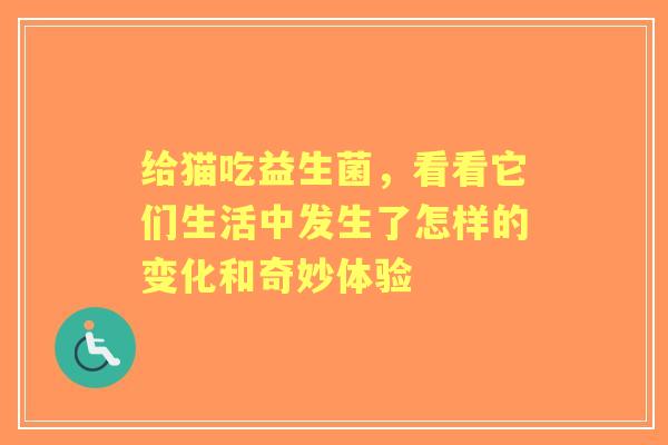 给猫吃益生菌，看看它们生活中发生了怎样的变化和奇妙体验